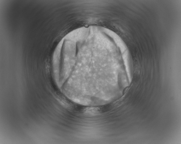 X0000068820179200606021626