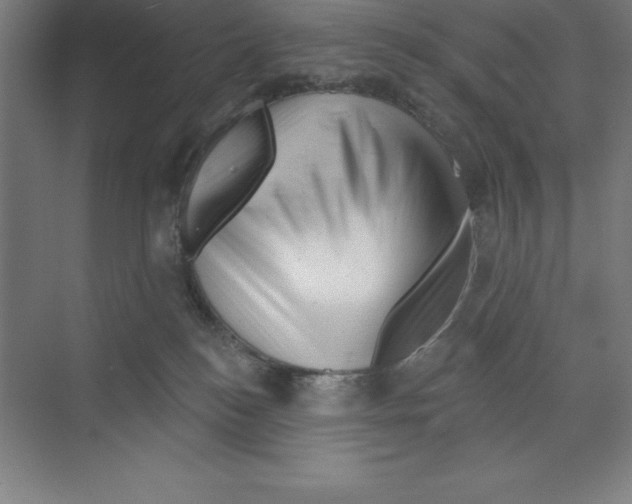 X0000068820184200606021626