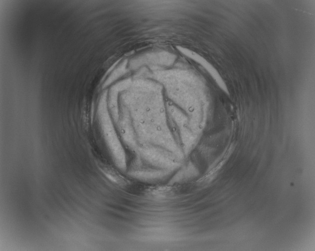 X0000068820186200606021626
