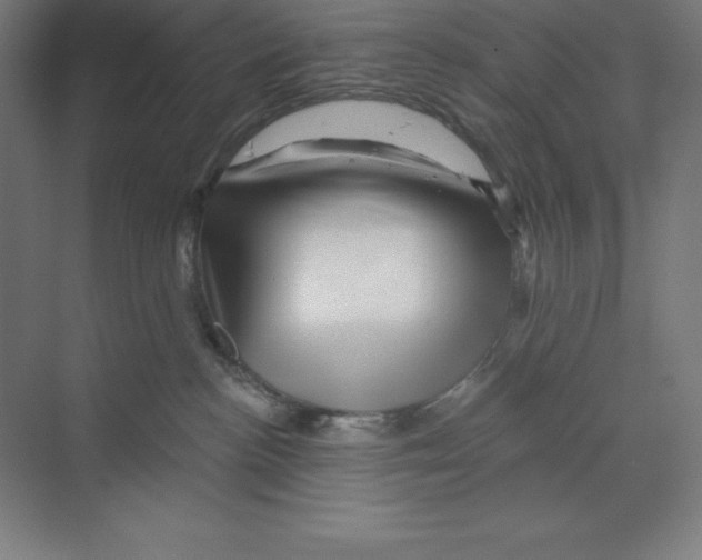 X0000068820188200606021626