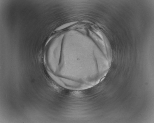 X0000068820189200606021626