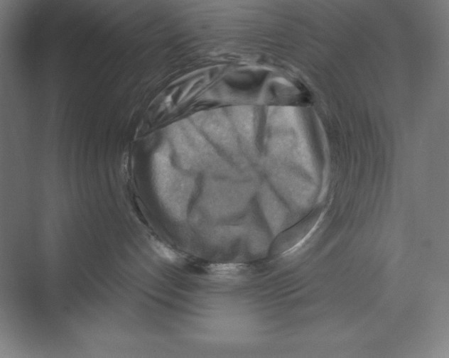 X0000068820192200606021626