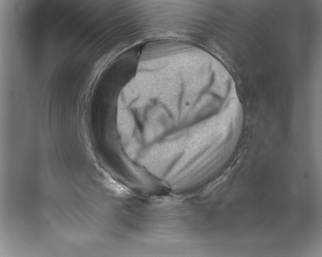 X0000068820193200606021626