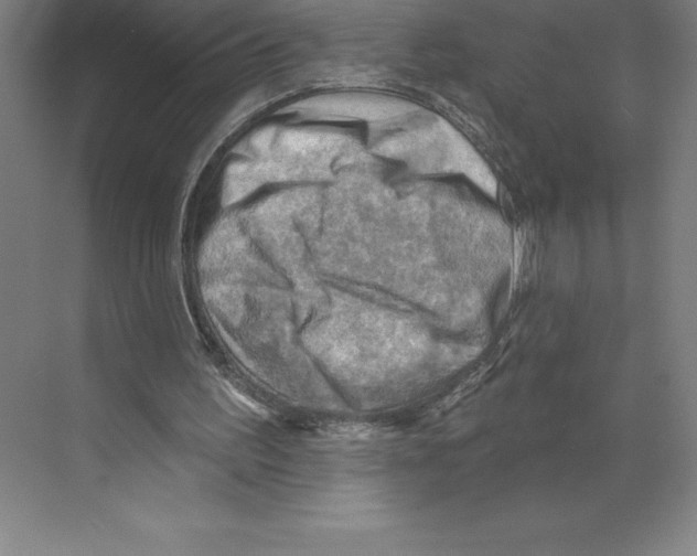 X0000068820195200606021626