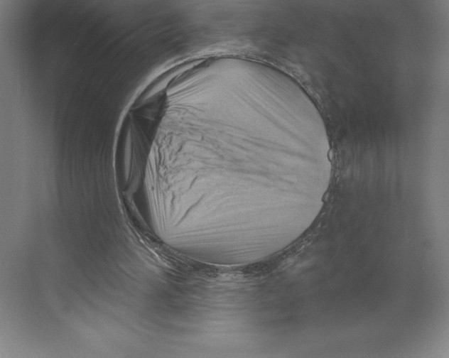 X0000068820196200606021626