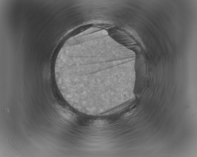 X0000068820204200606021625