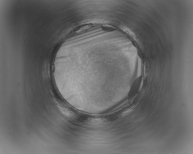 X0000068820205200606021625