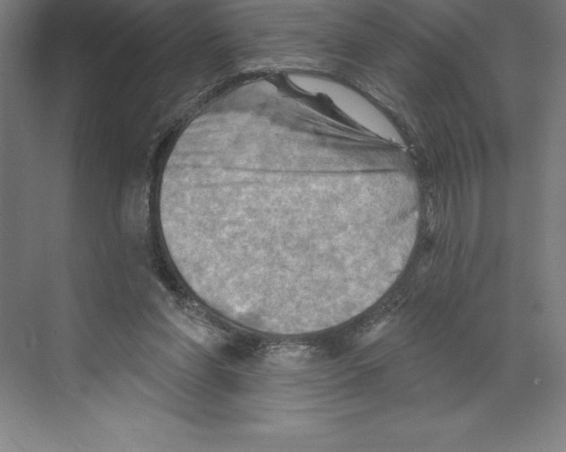 X0000068820206200606021625