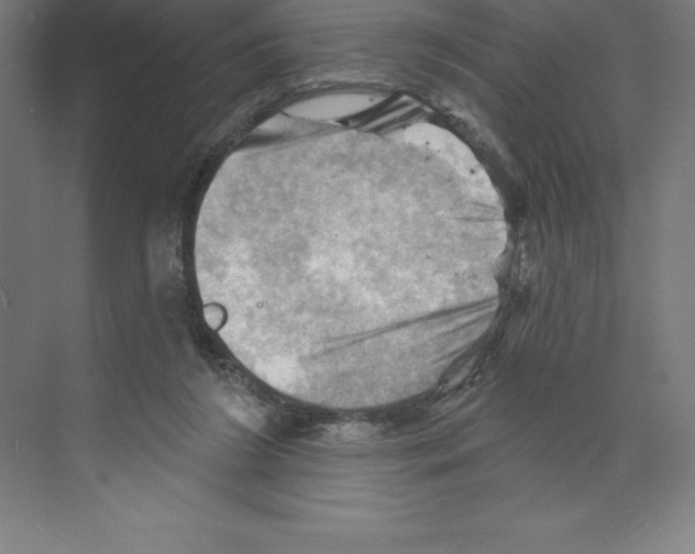 X0000068820212200606021625