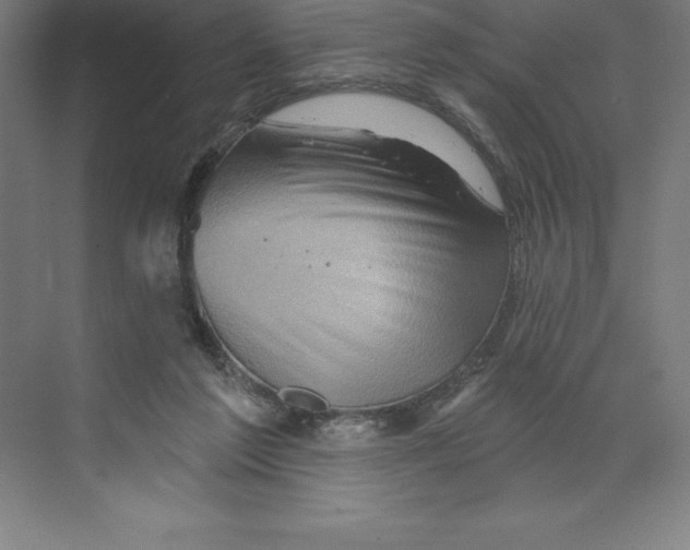 X0000068820213200606021625