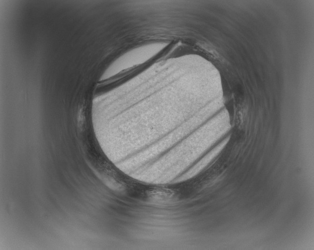 X0000068820215200606021625