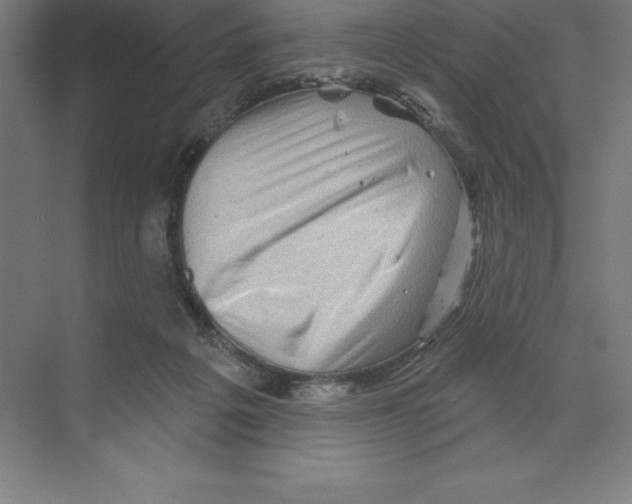 X0000068820217200606021625