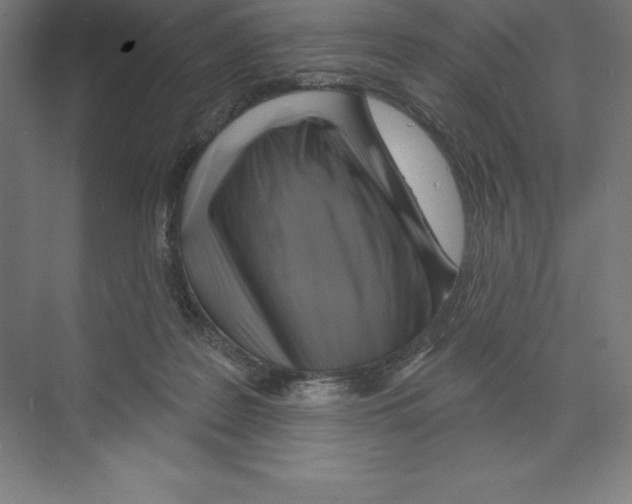 X0000068820219200606021625