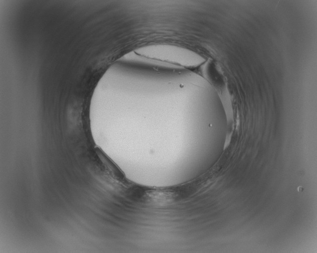 X0000068820221200606021625