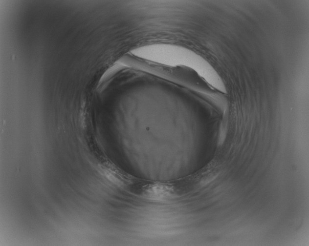X0000068820223200606021625