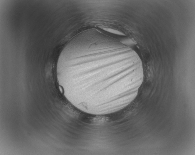 X0000068820225200606021625