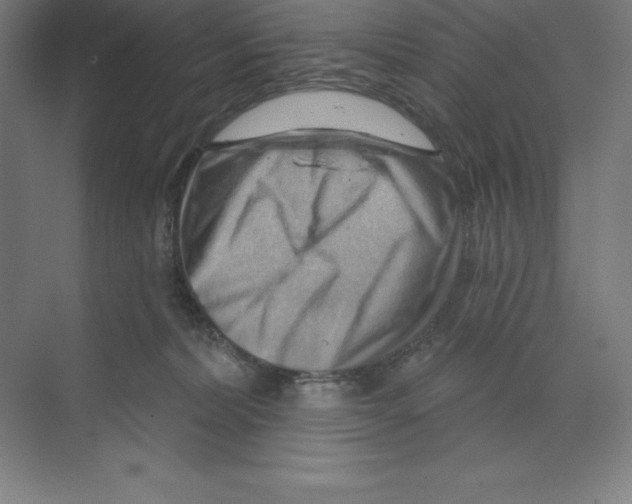 X0000068820228200606021625