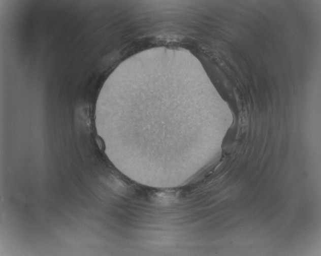 X0000068820232200606021625