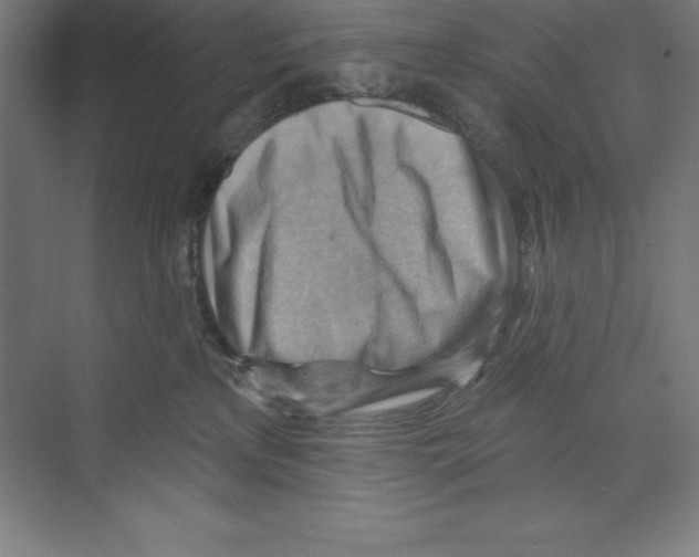 X0000068820233200606021625