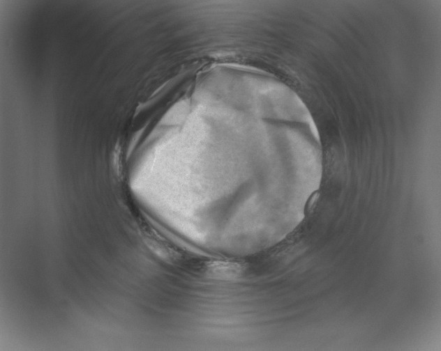 X0000068820234200606021625