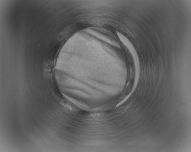 X0000068820237200606021625