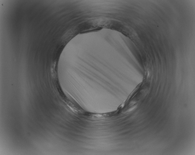 X0000068820239200606021625