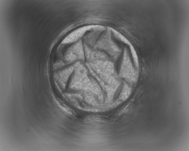 X0000068820244200606021624