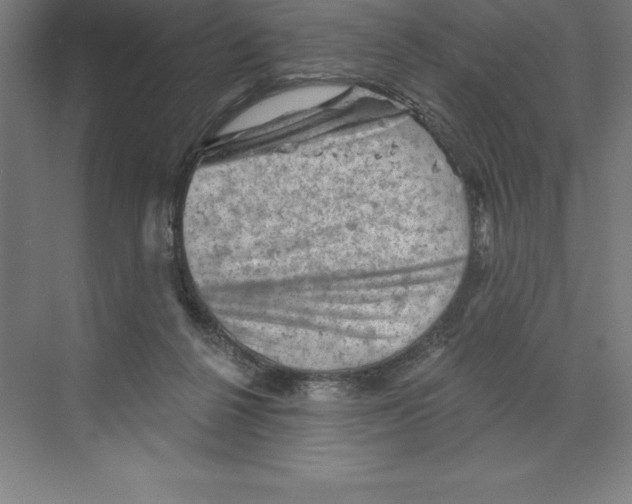 X0000068820264200606021624