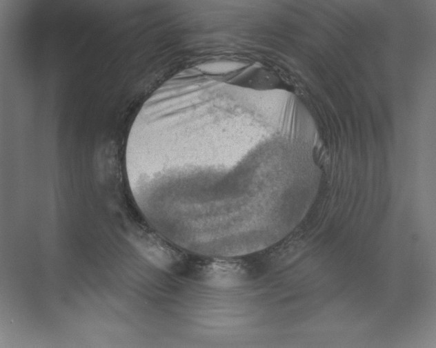 X0000068820270200606021625