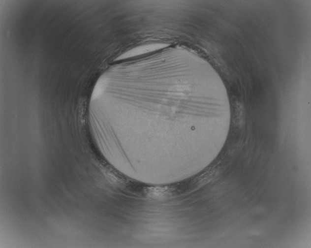 X0000068820273200606021625
