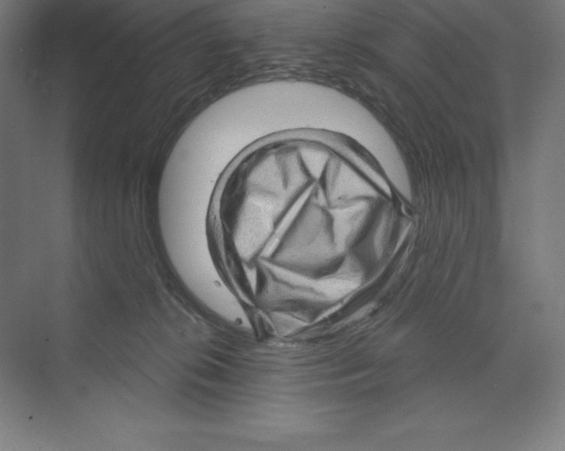 X0000068820276200606021625