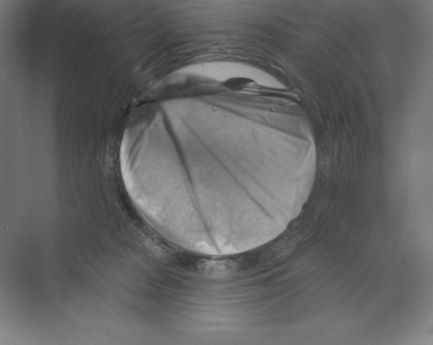 X0000068820277200606021625