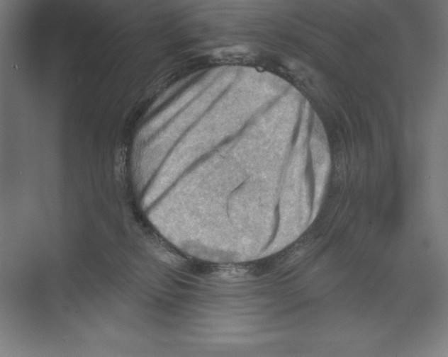 X0000068820278200606021625