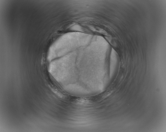 X0000068820284200606021625
