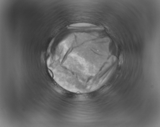 X0000068820286200606021625