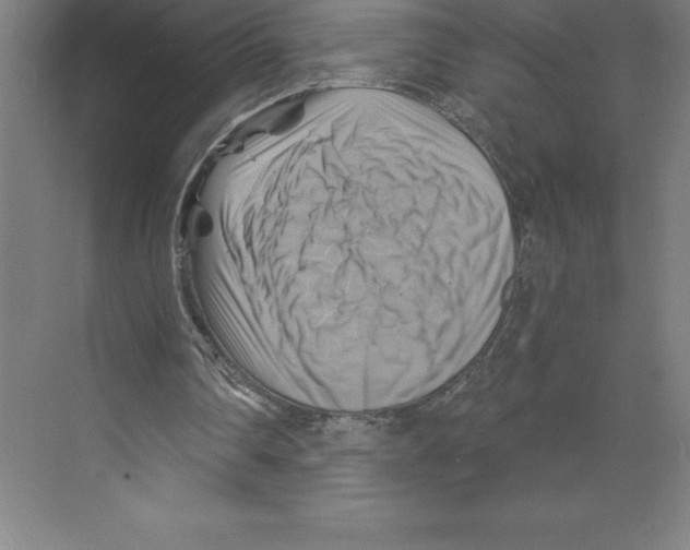 X0000068820290200606021624