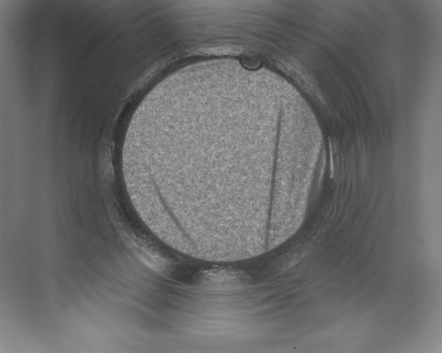 X0000068820300200606021624