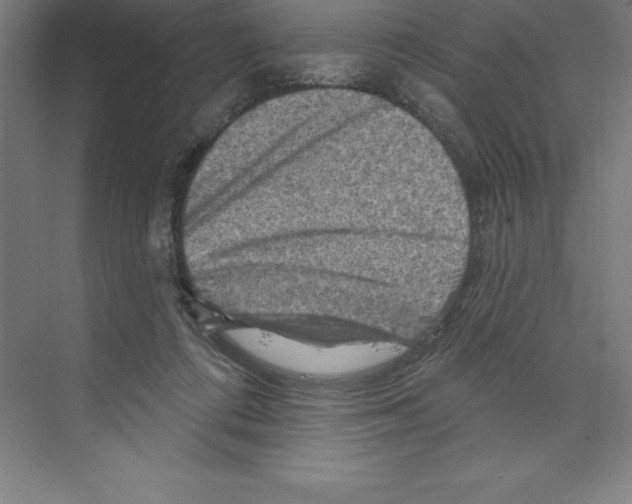 X0000068820312200606021624