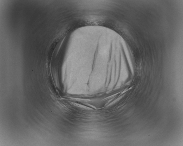 X0000068820314200606021624