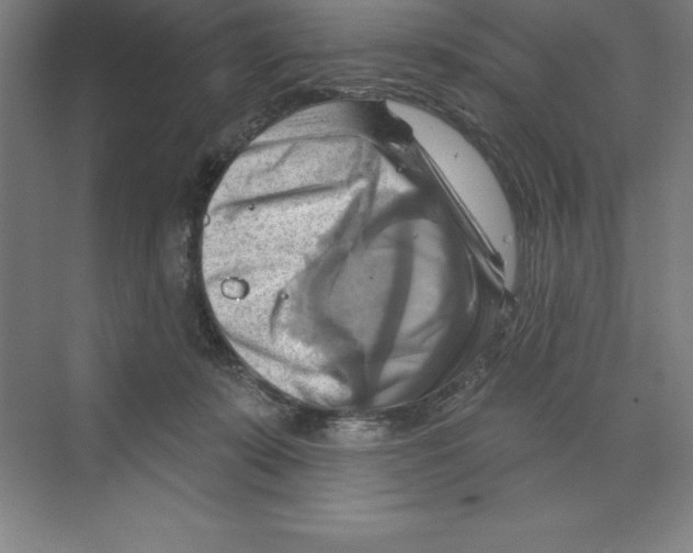 X0000068820319200606021623