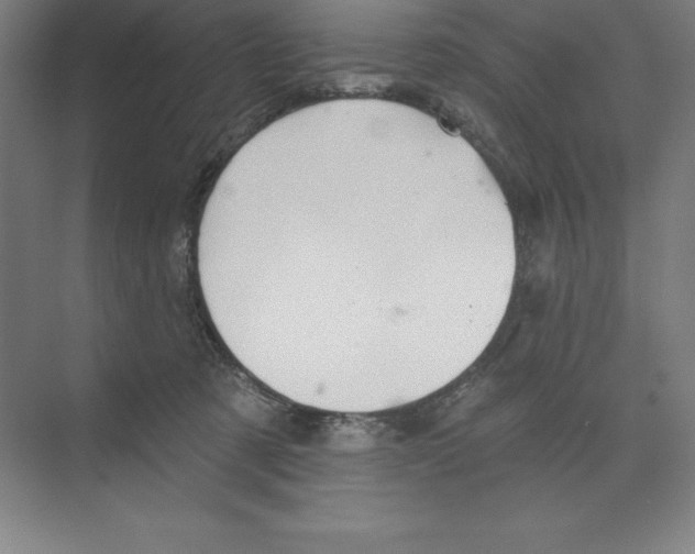 X0000068820321200606021623