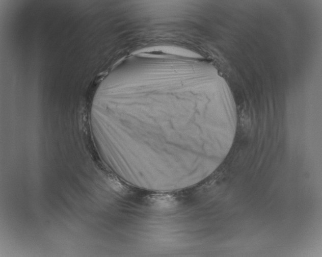 X0000068820322200606021623