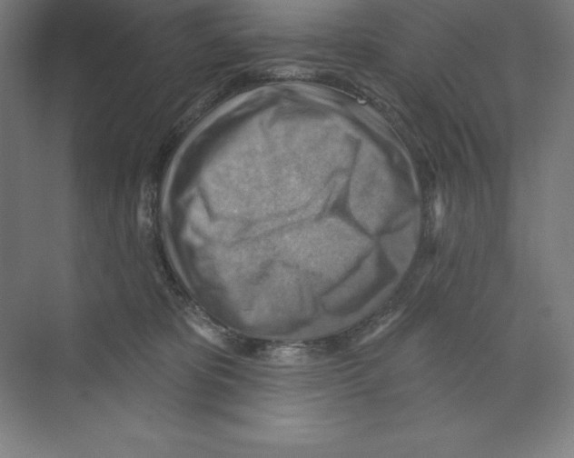 X0000068820325200606021623