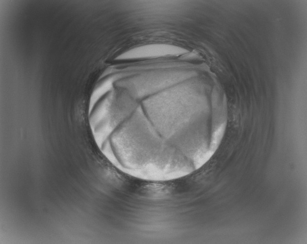 X0000068820326200606021623