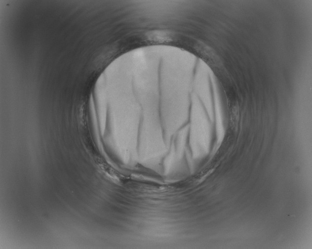 X0000068820330200606021623