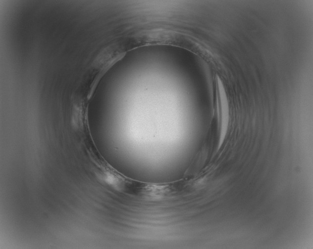 X0000068820333200606021623