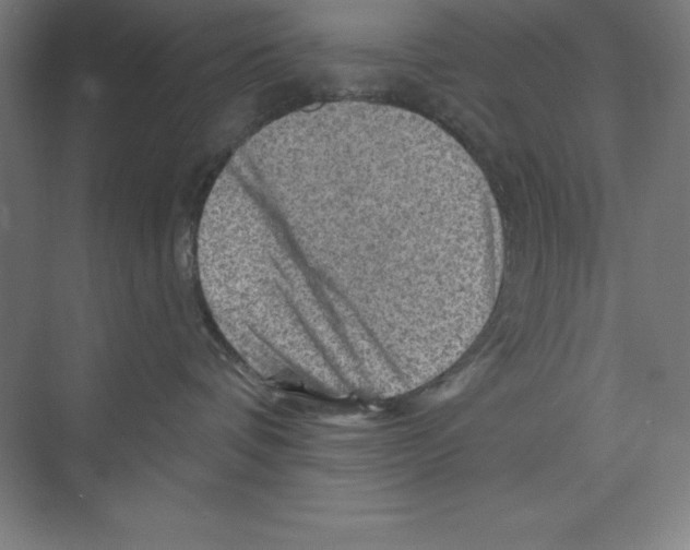 X0000068820336200606021623