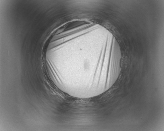X0000068820338200606021622