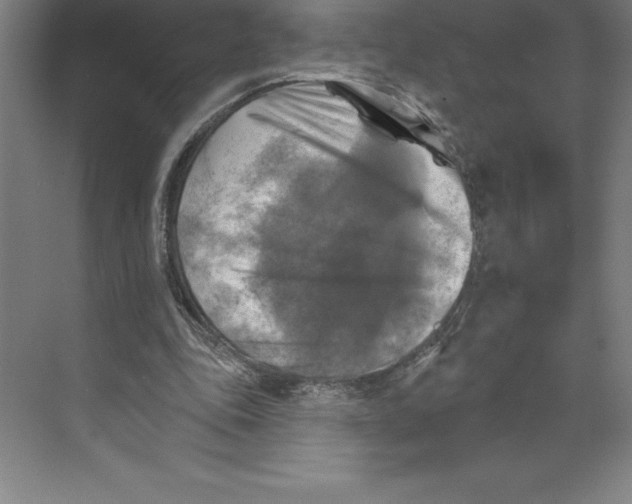 X0000068820343200606021622