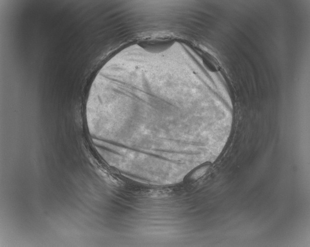 X0000068820345200606021623